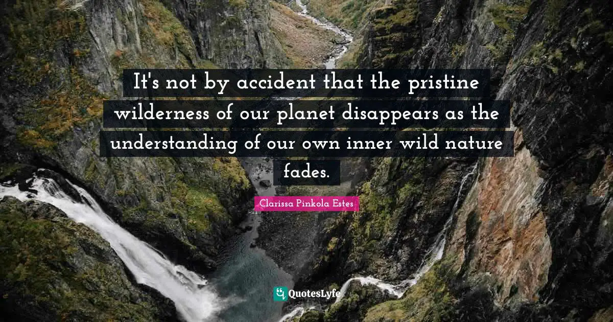 Clarissa Pinkola Estes Quotes: "It's not by accident that the pristine wilderness of our planet disappears as the understanding of our own inner wild nature fades."