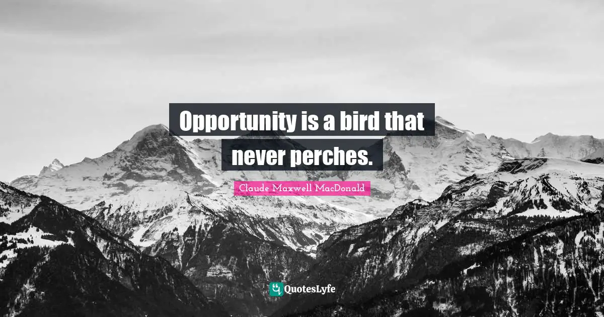 Opportunity is a bird that never perches.