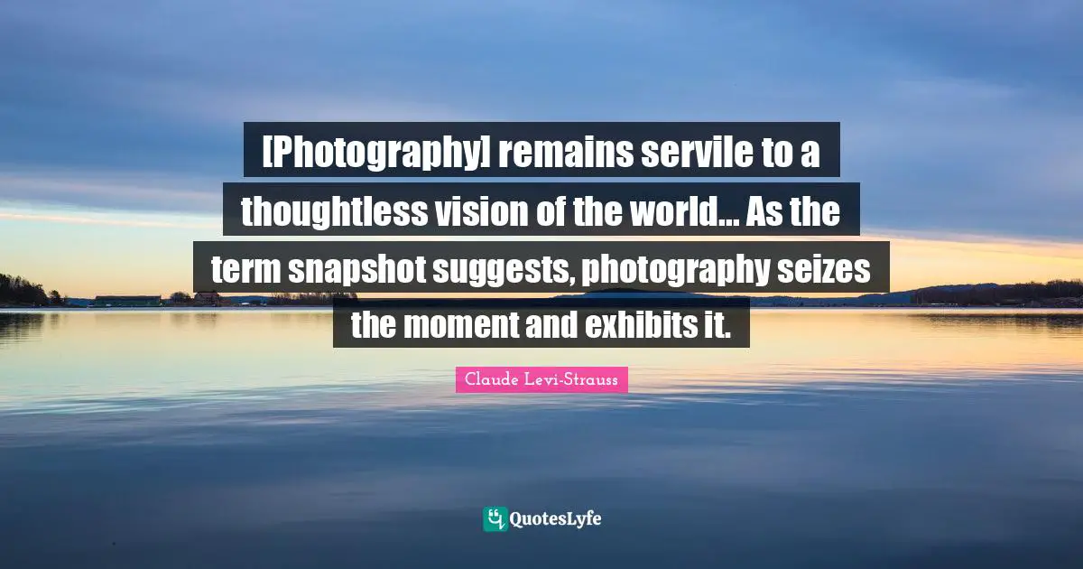[Photography] remains servile to a thoughtless vision of the world... As the term snapshot suggests, photography seizes the moment and exhibits it.