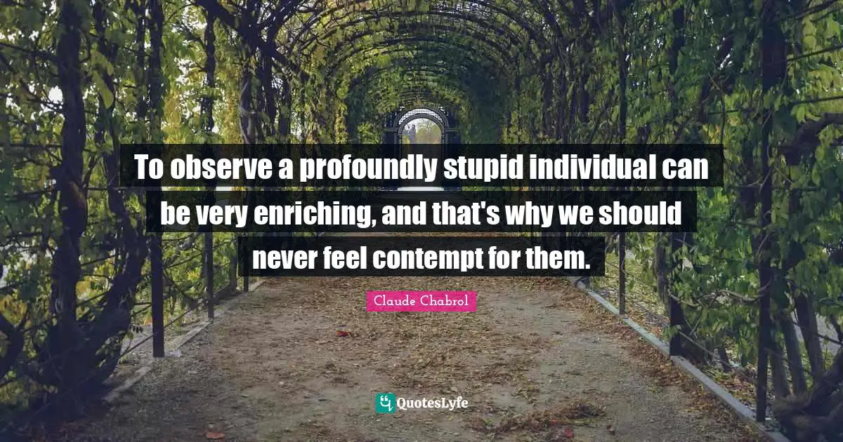 To observe a profoundly stupid individual can be very enriching, and that's why we should never feel contempt for them.