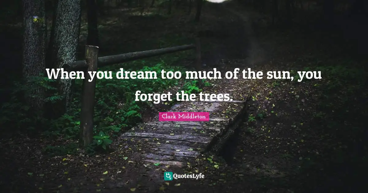 When you dream too much of the sun, you forget the trees.