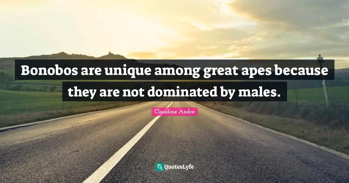 Bonobos are unique among great apes because they are not dominated by males.