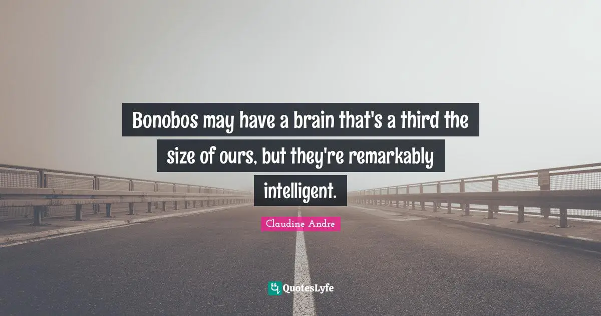 Bonobos may have a brain that's a third the size of ours, but they're remarkably intelligent.