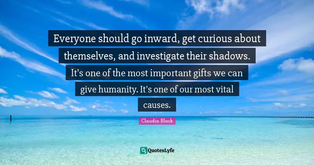 Everyone should go inward, get curious about themselves, and investigate their shadows. It's one of the most important gifts we can give humanity. It's one of our most vital causes.
