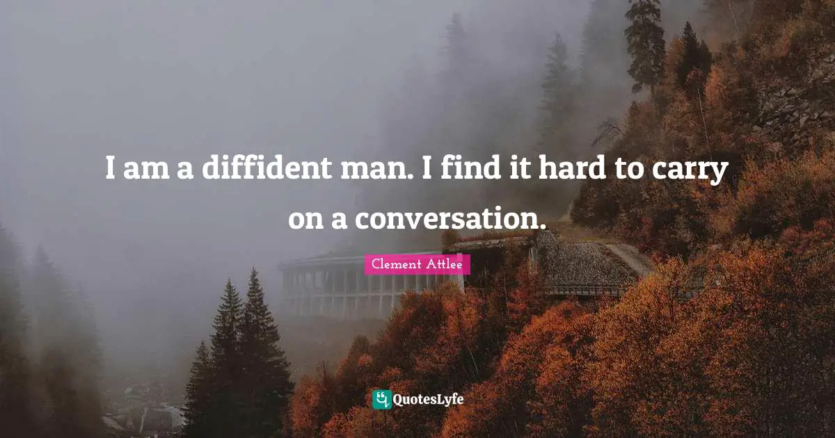 I am a diffident man. I find it hard to carry on a conversation.
