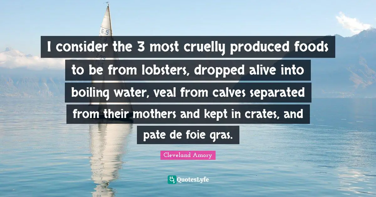 I consider the 3 most cruelly produced foods to be from lobsters, dropped alive into boiling water, veal from calves separated from their mothers and kept in crates, and pate de foie gras.
