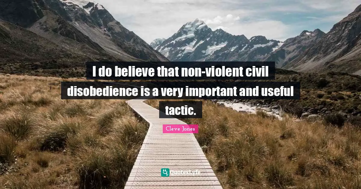 I do believe that non-violent civil disobedience is a very important and useful tactic.