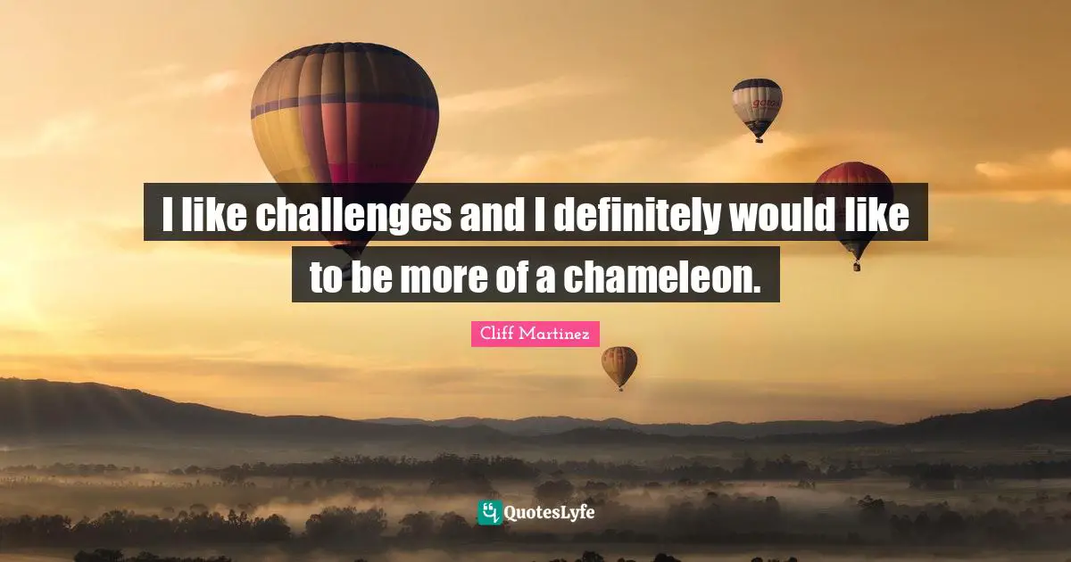 I like challenges and I definitely would like to be more of a chameleon.