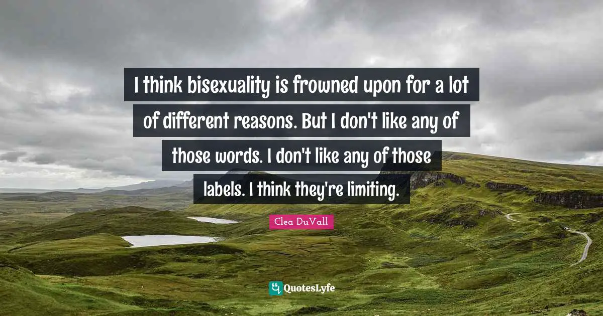 I think bisexuality is frowned upon for a lot of different reasons. But I don't like any of those words. I don't like any of those labels. I think they're limiting.