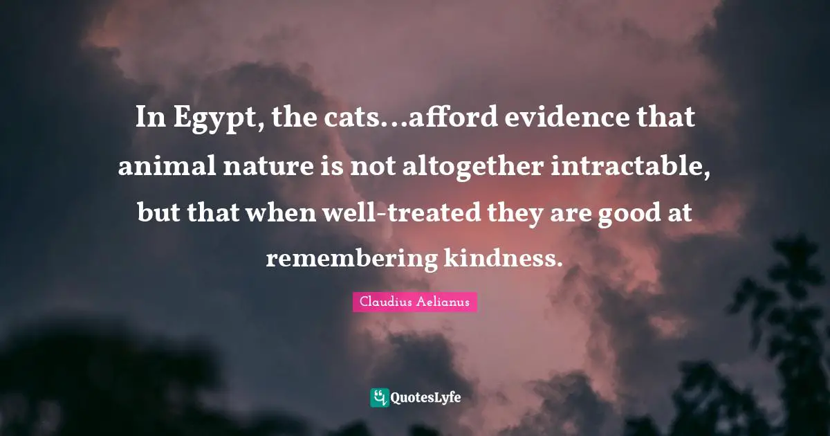 In Egypt, the cats...afford evidence that animal nature is not altogether intractable, but that when well-treated they are good at remembering kindness.