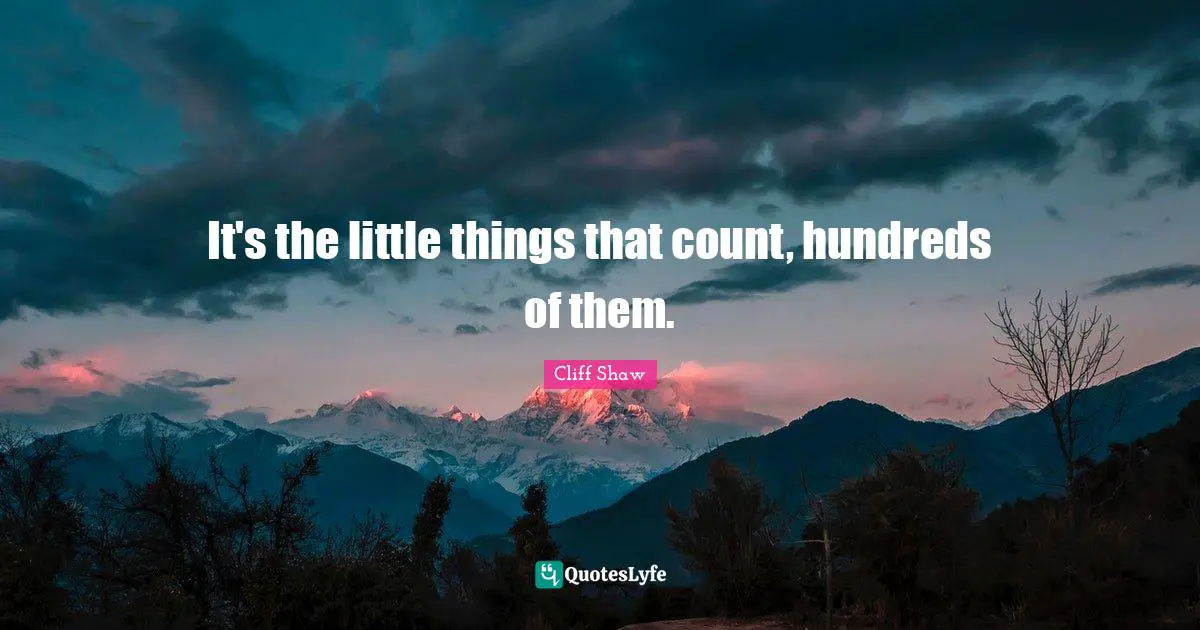 Bold Actions Quotes: "It's the little things that count, hundreds of them."