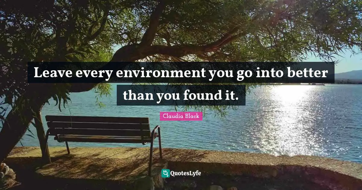 Leave every environment you go into better than you found it.