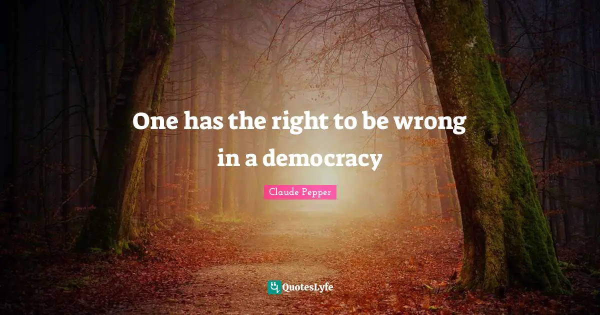 One has the right to be wrong in a democracy