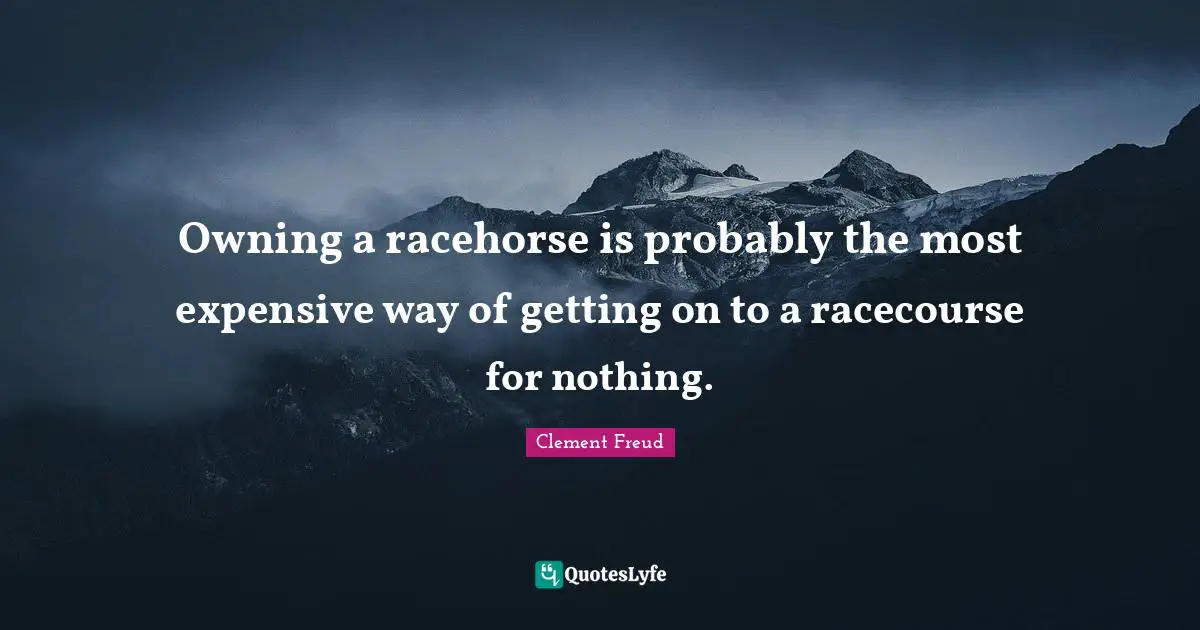 Owning a racehorse is probably the most expensive way of getting on to a racecourse for nothing.