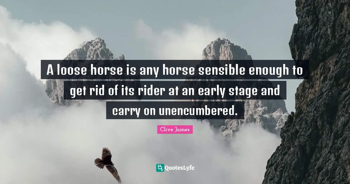 Clive James Quotes: "A loose horse is any horse sensible enough to get rid of its rider at an early stage and carry on unencumbered."
