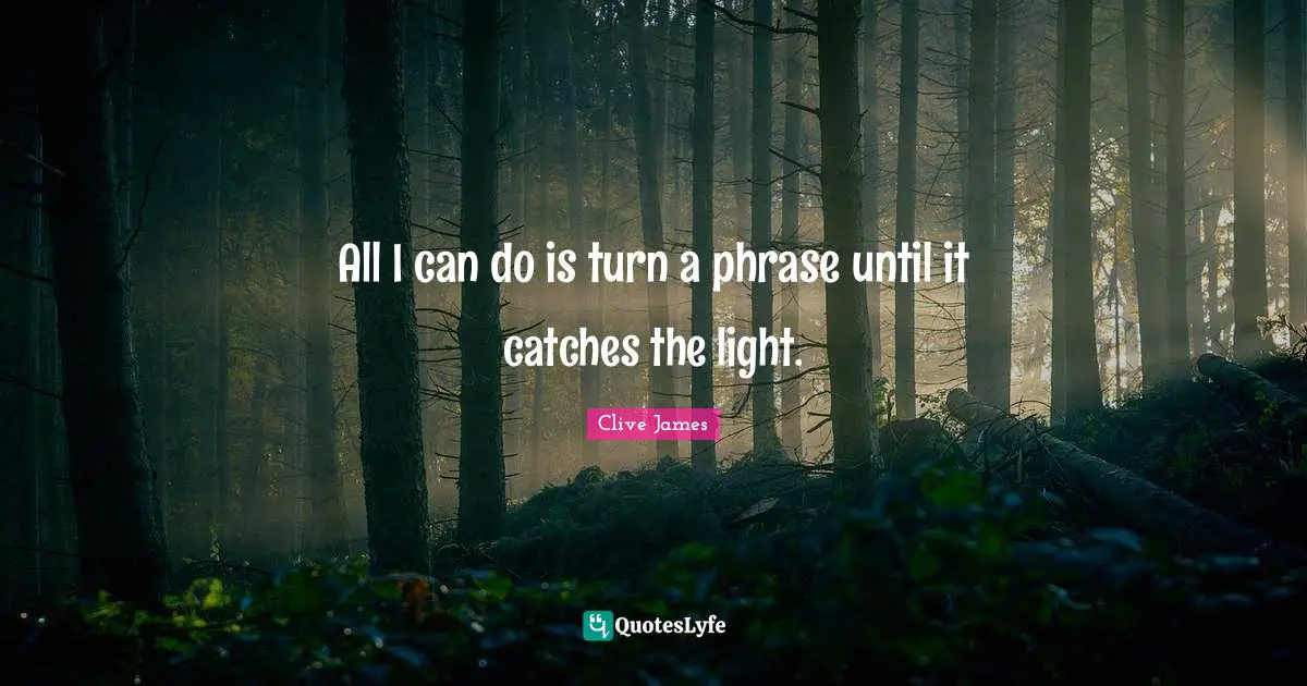 Clive James Quotes: "All I can do is turn a phrase until it catches the light."