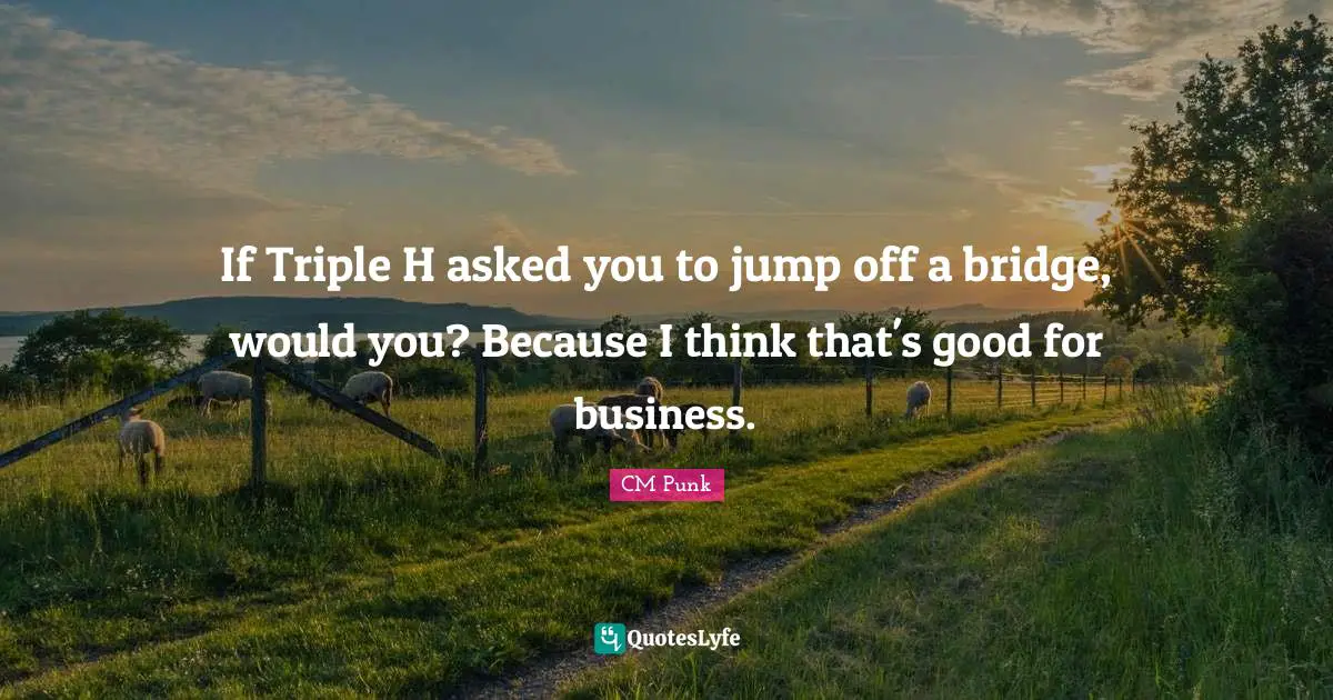 CM Punk Quotes: "If Triple H asked you to jump off a bridge, would you? Because I think that's good for business."