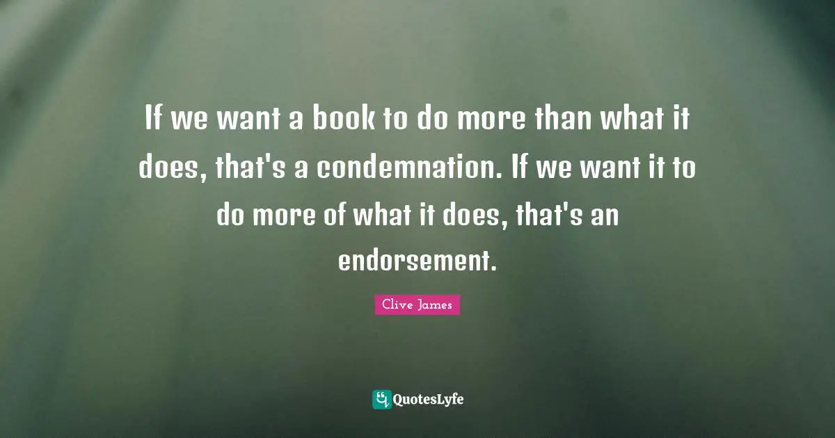 If we want a book to do more than what it does, that's a condemnation. If we want it to do more of what it does, that's an endorsement.