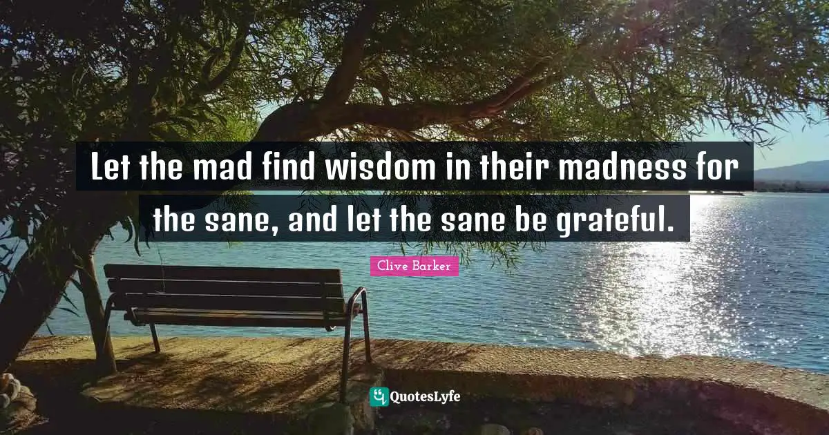 Let the mad find wisdom in their madness for the sane, and let the sane be grateful.