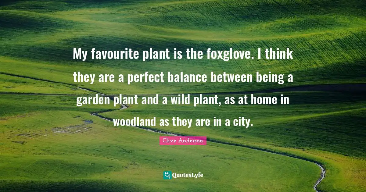 My favourite plant is the foxglove. I think they are a perfect balance between being a garden plant and a wild plant, as at home in woodland as they are in a city.
