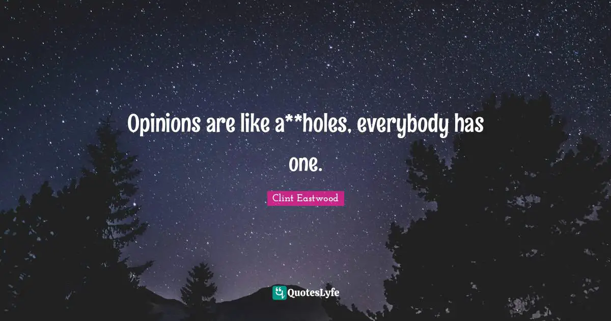 Opinions are like a**holes, everybody has one.
