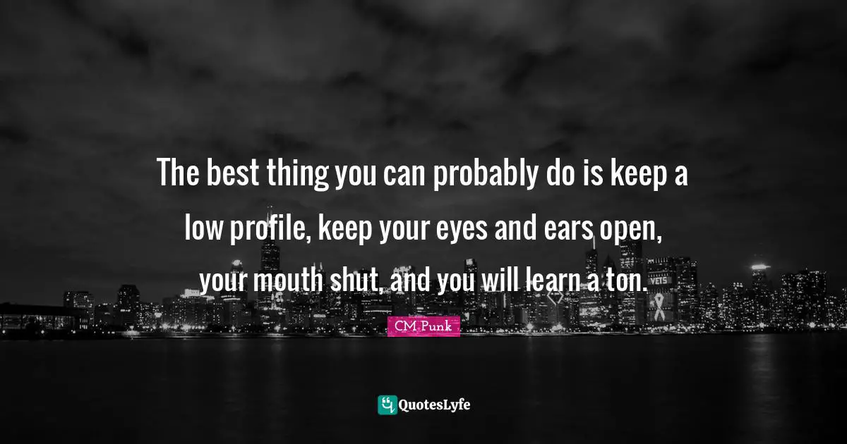 CM Punk Quotes: The best thing you can probably do is keep a low profile, keep your eyes and ears open, your mouth shut, and you will learn a ton.