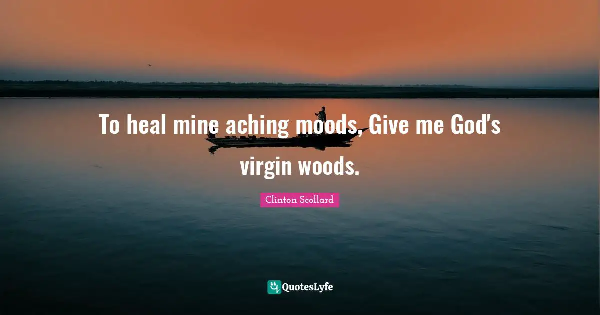 To heal mine aching moods, Give me God's virgin woods.