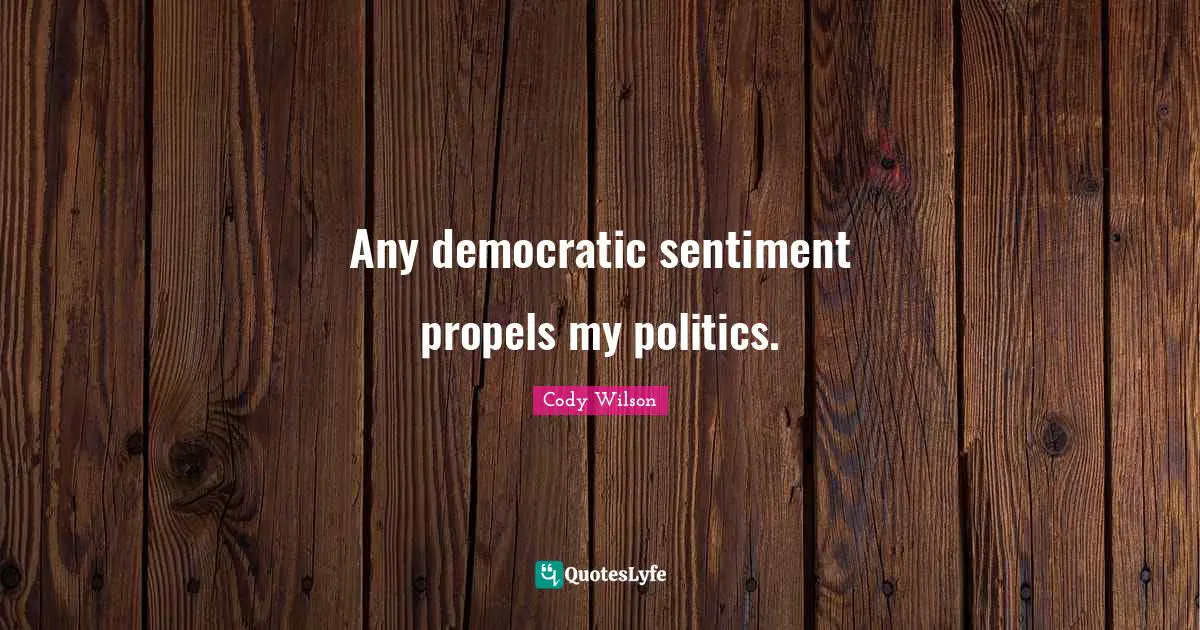 Any democratic sentiment propels my politics.