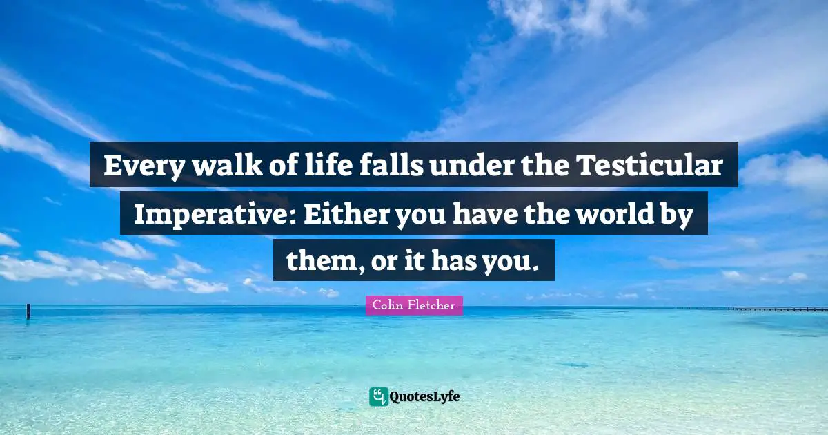 Every walk of life falls under the Testicular Imperative: Either you have the world by them, or it has you.