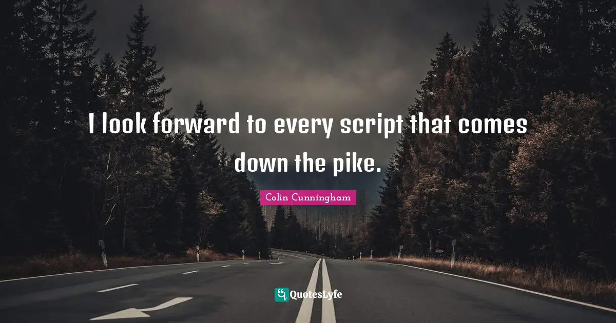 I look forward to every script that comes down the pike.