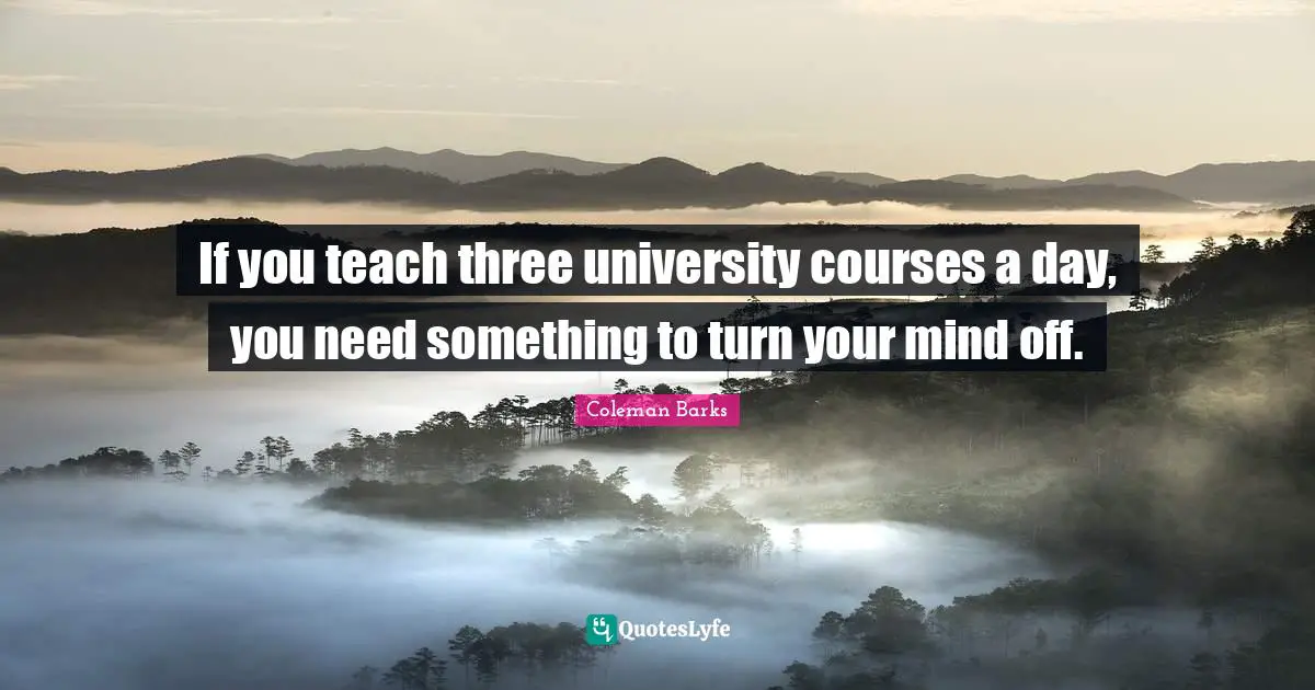 If you teach three university courses a day, you need something to turn your mind off.