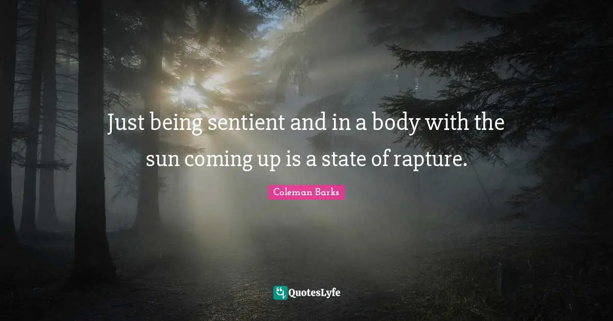 Just being sentient and in a body with the sun coming up is a state of rapture.