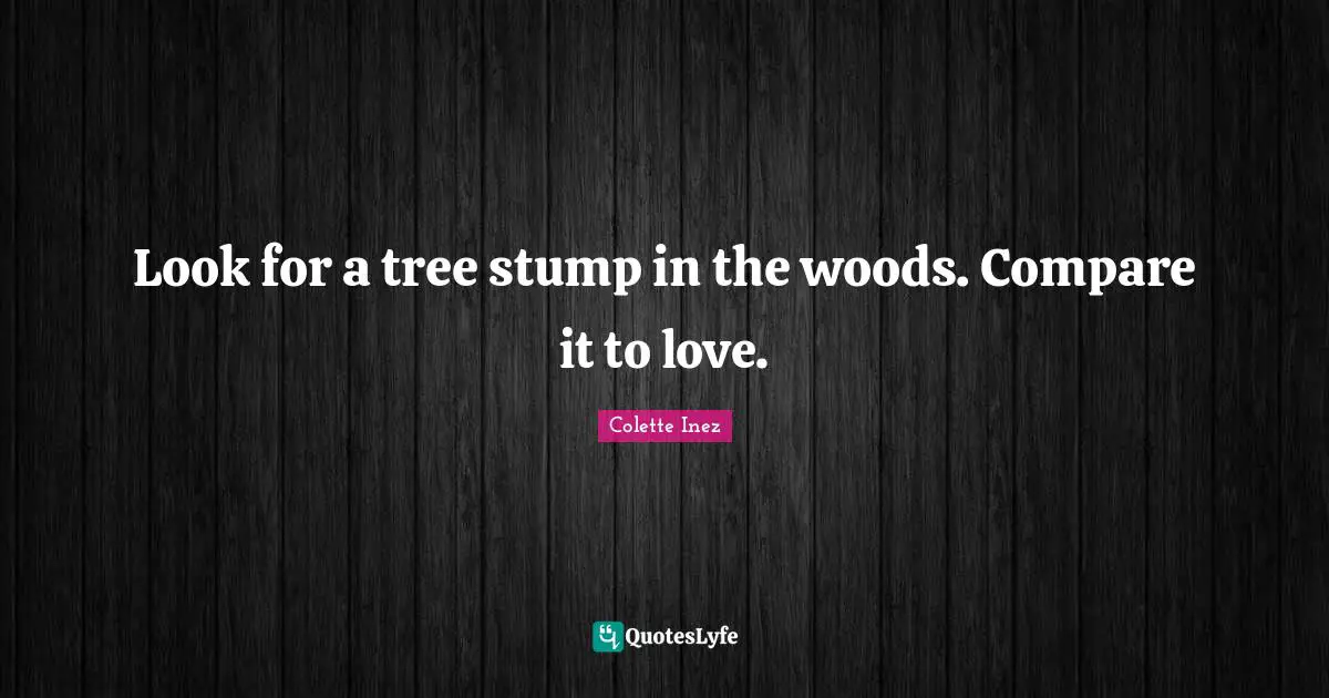 Look for a tree stump in the woods. Compare it to love.