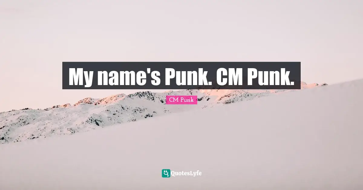 My name's Punk. CM Punk.