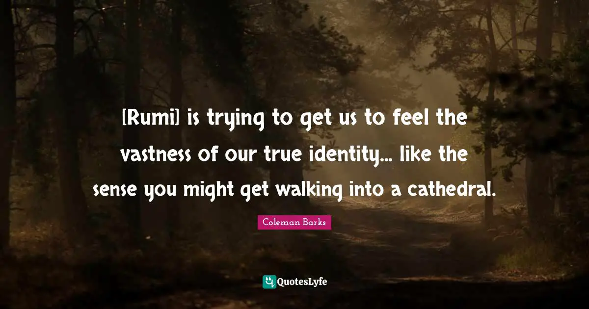 [Rumi] is trying to get us to feel the vastness of our true identity... like the sense you might get walking into a cathedral.