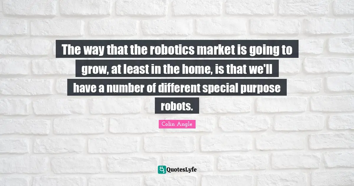 The way that the robotics market is going to grow, at least in the home, is that we'll have a number of different special purpose robots.