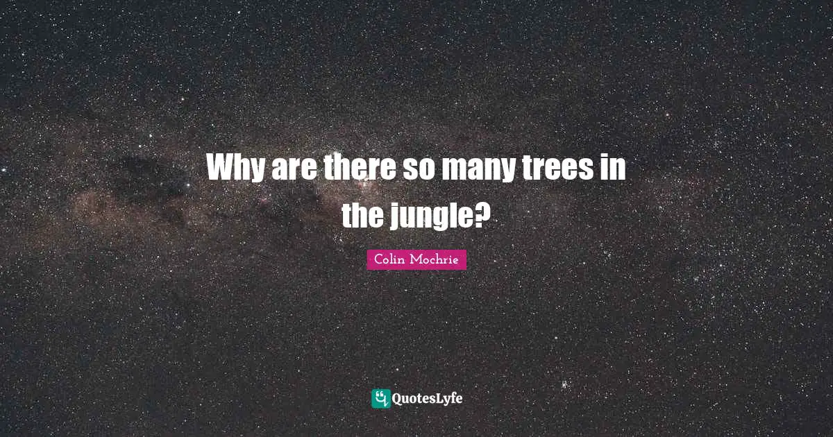 Why are there so many trees in the jungle?