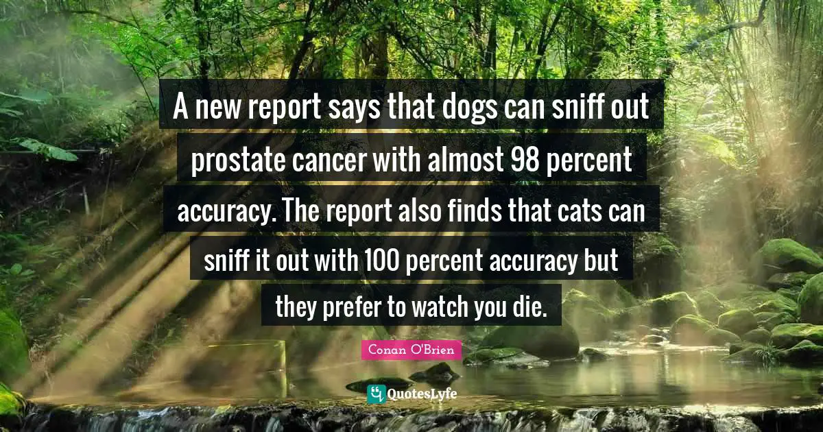 A new report says that dogs can sniff out prostate cancer with almost 98 percent accuracy. The report also finds that cats can sniff it out with 100 percent accuracy but they prefer to watch you die.