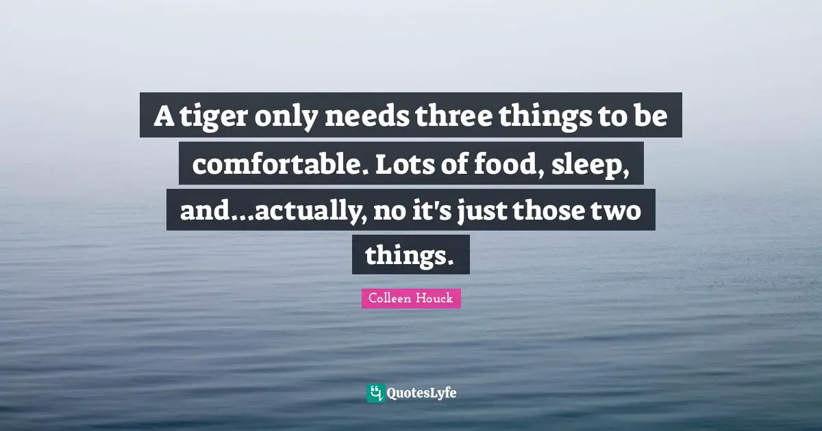 A tiger only needs three things to be comfortable. Lots of food, sleep, and...actually, no it's just those two things.