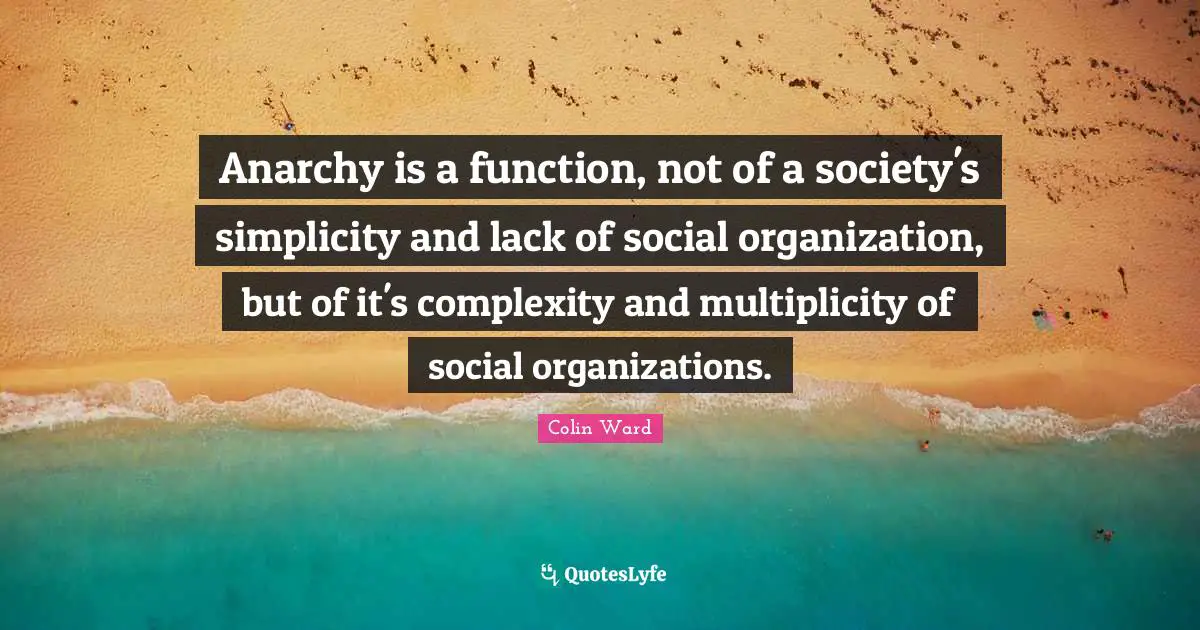 Anarchy is a function, not of a society's simplicity and lack of social organization, but of it's complexity and multiplicity of social organizations.
