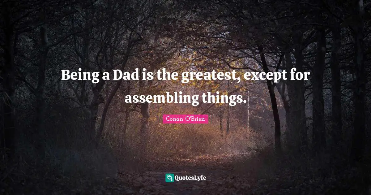Being a Dad is the greatest, except for assembling things.