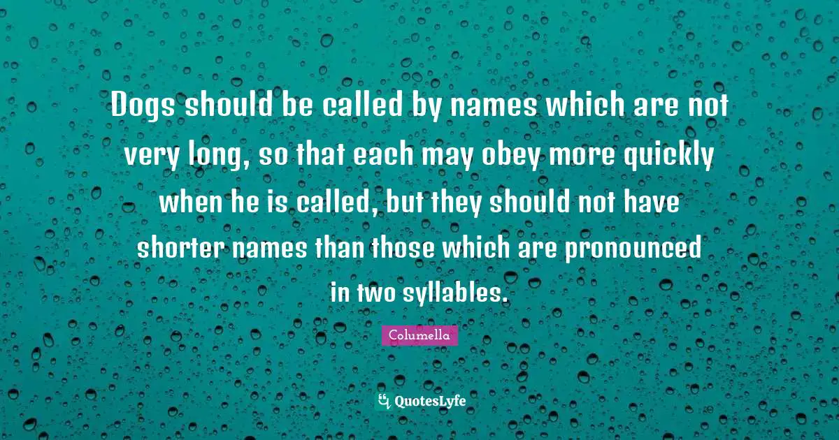 Dogs should be called by names which are not very long, so that each may obey more quickly when he is called, but they should not have shorter names than those which are pronounced in two syllables.