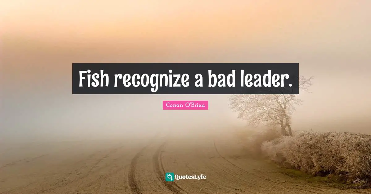 Fish recognize a bad leader.