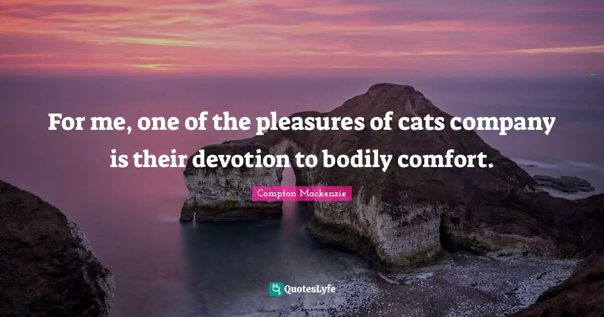 Devotion Quotes: "For me, one of the pleasures of cats company is their devotion to bodily comfort."