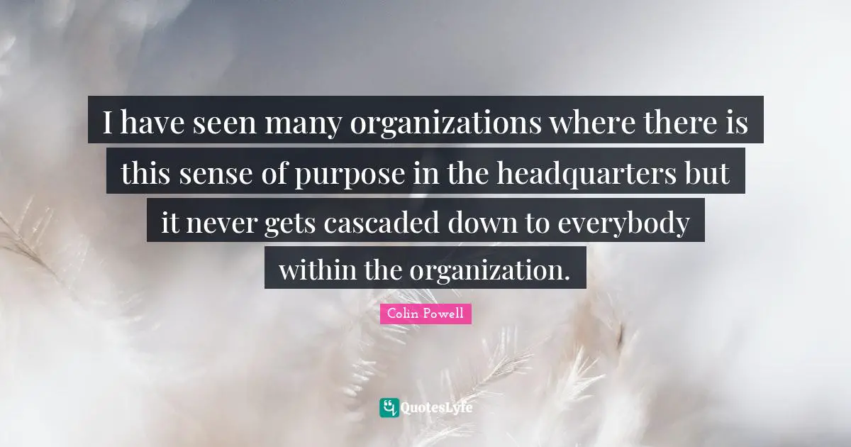 I have seen many organizations where there is this sense of purpose in the headquarters but it never gets cascaded down to everybody within the organization.