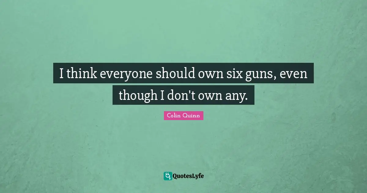 I think everyone should own six guns, even though I don't own any.