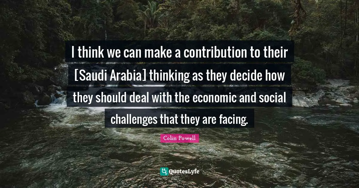 I think we can make a contribution to their [Saudi Arabia] thinking as they decide how they should deal with the economic and social challenges that they are facing.
