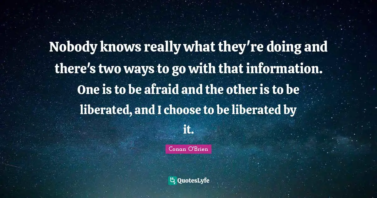 Nobody knows really what they're doing and there's two ways to go with that information. One is to be afraid and the other is to be liberated, and I choose to be liberated by it.