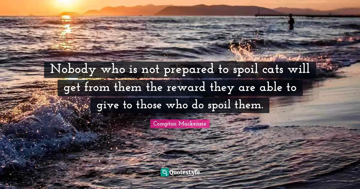 Nobody who is not prepared to spoil cats will get from them the reward they are able to give to those who do spoil them.