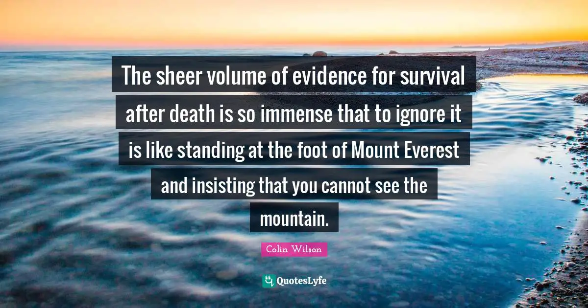 The sheer volume of evidence for survival after death is so immense that to ignore it is like standing at the foot of Mount Everest and insisting that you cannot see the mountain.